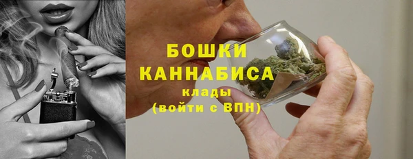PSILOCYBIN Аркадак