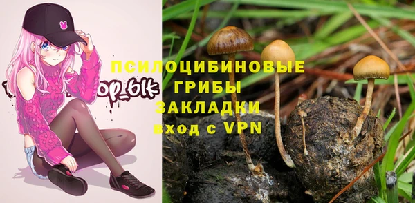 PSILOCYBIN Аркадак