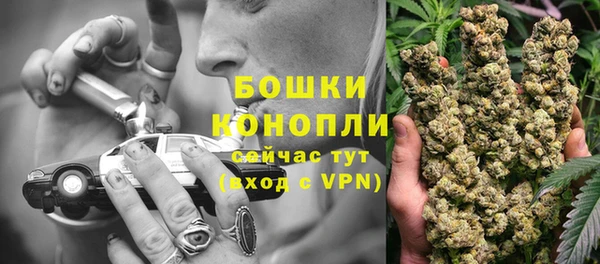 PSILOCYBIN Аркадак