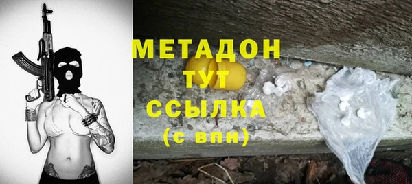 PSILOCYBIN Аркадак