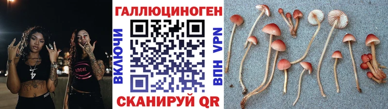 Галлюциногенные грибы мухоморы  Прохладный 