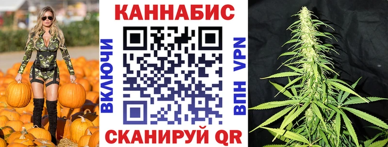 хочу наркоту  Прохладный  Шишки марихуана план 
